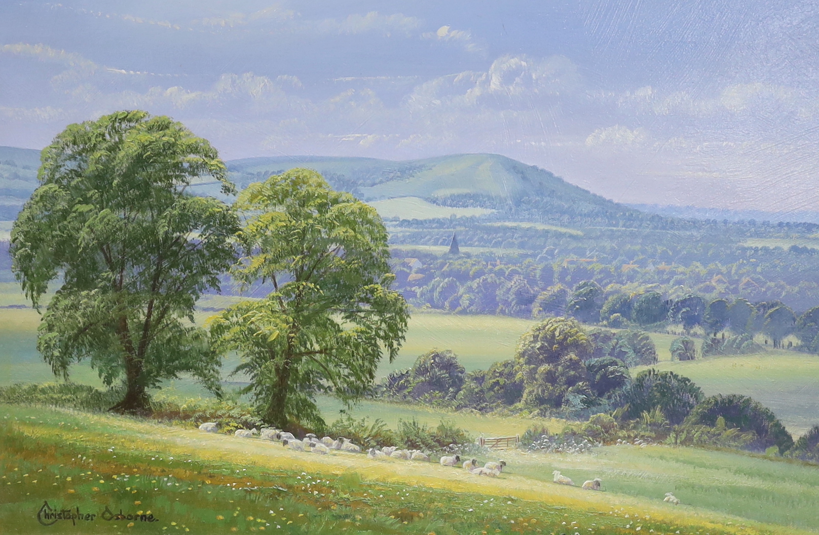 Christopher Osborne (b.1947), oil on board, 'Towards Wolstonbury Hill near Ditchling', signed, details verso, 19 x 29cm